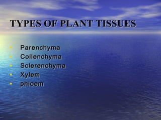 TYPES OF PLANT TISSUESTYPES OF PLANT TISSUES
• ParenchymaParenchyma
• CollenchymaCollenchyma
• SclerenchymaSclerenchyma
• XylemXylem
• phloemphloem
 