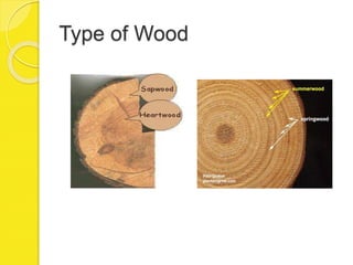 Type of Wood
 