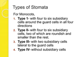 Types of Stomata
For Monocots,
1. Type 1- with four to six subsidiary
cells around the guard cells in all four
directions
2. Type II- with four to six subsidiary
cells, two of which are roundish and
smaller than the rest.
3. Type III- with two subsidiary cells
lateral to the guard cells
4. Type IV- without subsidiary cells
 