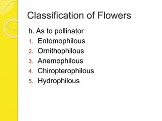 Classification of Flowers
h. As to pollinator
1. Entomophilous
2. Ornithophilous
3. Anemophilous
4. Chiropterophilous
5. Hydrophilous
 