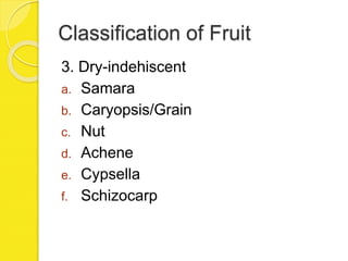 Classification of Fruit
3. Dry-indehiscent
a. Samara
b. Caryopsis/Grain
c. Nut
d. Achene
e. Cypsella
f. Schizocarp
 