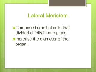 Lateral Meristem
Composed of initial cells that
divided chiefly in one place.
Increase the diameter of the
organ.
 