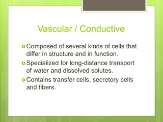 Vascular / Conductive
Composed of several kinds of cells that
differ in structure and in function.
Specialized for long-distance transport
of water and dissolved solutes.
Contains transfer cells, secretory cells
and fibers.
 