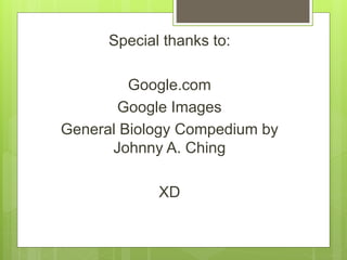 Special thanks to:
Google.com
Google Images
General Biology Compedium by
Johnny A. Ching
XD
 