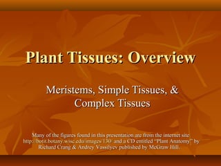 Plant Tissues: OverviewPlant Tissues: Overview
Meristems, Simple Tissues, &Meristems, Simple Tissues, &
Complex TissuesComplex Tissues
Many of the figures found in this presentation are from the internet siteMany of the figures found in this presentation are from the internet site
http://botit.botany.wisc.edu/images/130/http://botit.botany.wisc.edu/images/130/ and a CD entitled “Plant Anatomy” byand a CD entitled “Plant Anatomy” by
Richard Crang & Andrey Vassilyev published by McGraw Hill.Richard Crang & Andrey Vassilyev published by McGraw Hill.
 