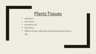 PlantsTissues
• collenchyma
• Sclerenchyma
• parenchyma cells
• Their features
• Difference between collenchyma, sclerenchyma and parenchyma
cells
1
 