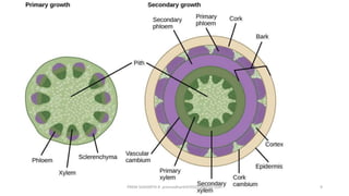 PREM SIDHARTH R premsidharth070501@gmail.com 9
 