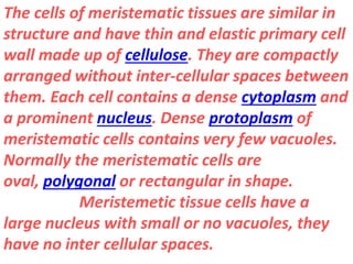 The cells of meristematic tissues are similar in
structure and have thin and elastic primary cell
wall made up of cellulose. They are compactly
arranged without inter-cellular spaces between
them. Each cell contains a dense cytoplasm and
a prominent nucleus. Dense protoplasm of
meristematic cells contains very few vacuoles.
Normally the meristematic cells are
oval, polygonal or rectangular in shape.
Meristemetic tissue cells have a
large nucleus with small or no vacuoles, they
have no inter cellular spaces.
 