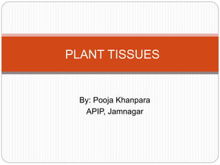 By: Pooja Khanpara
APIP, Jamnagar
PLANT TISSUES
 