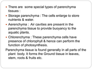  There are some special types of parenchyma
tissues :
 Storage parenchyma : The cells enlarge to store
nutrients & water.
 Aerenchyma : Air cavities are present in the
parenchyma tissue to provide buoyancy to the
aquatic plants.
 Chlorenchyma : These parenchyma cells have
presence of chlorophyll & hence can perform the
function of photosynthesis.
Parenchyma tissue is found generally in all parts of the
plant body. It forms the Ground tissue in leaves,
stem, roots & fruits etc.
 