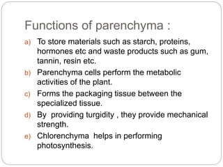 Functions of parenchyma :
a) To store materials such as starch, proteins,
hormones etc and waste products such as gum,
tannin, resin etc.
b) Parenchyma cells perform the metabolic
activities of the plant.
c) Forms the packaging tissue between the
specialized tissue.
d) By providing turgidity , they provide mechanical
strength.
e) Chlorenchyma helps in performing
photosynthesis.
 