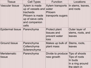 Tissue Cell Types Function Locations
Vascular tissue Xylem is made
up of vessels and
tracheids
Phloem is made
up of sieve cells
and companion
cells
Xylem transports
water
Phloem
transports sugars
In stems, leaves,
and roots
Epidermal tissue Parenchyma Protect plant
tissues and
prevent water
loss
Outer layer of
stems, roots, and
leaves
Ground tissue Parenchyma
Collenchyma
Sclerenchyma
Makes up bulk of
plant mass
Stems, roots,
leaves
Meristematic
tissue
Parenchyma Divide to produce
new growth
Tips of shoots
Tips of roots
In buds
In a ring around
the stem in
 