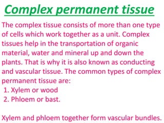 Complex permanent tissue
The complex tissue consists of more than one type
of cells which work together as a unit. Complex
tissues help in the transportation of organic
material, water and mineral up and down the
plants. That is why it is also known as conducting
and vascular tissue. The common types of complex
permanent tissue are:
1. Xylem or wood
2. Phloem or bast.
Xylem and phloem together form vascular bundles.
 