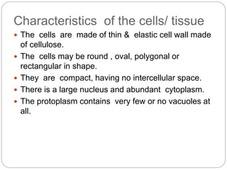 Characteristics of the cells/ tissue
 The cells are made of thin & elastic cell wall made
of cellulose.
 The cells may be round , oval, polygonal or
rectangular in shape.
 They are compact, having no intercellular space.
 There is a large nucleus and abundant cytoplasm.
 The protoplasm contains very few or no vacuoles at
all.
 