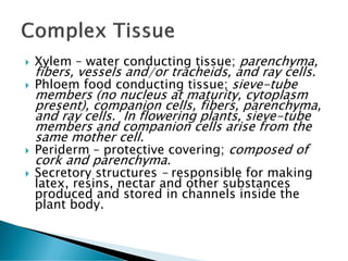  Xylem – water conducting tissue; parenchyma,
fibers, vessels and/or tracheids, and ray cells.
 Phloem food conducting tissue; sieve-tube
members (no nucleus at maturity, cytoplasm
present), companion cells, fibers, parenchyma,
and ray cells. In flowering plants, sieve-tube
members and companion cells arise from the
same mother cell.
 Periderm – protective covering; composed of
cork and parenchyma.
 Secretory structures – responsible for making
latex, resins, nectar and other substances
produced and stored in channels inside the
plant body.
 