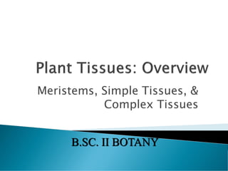 Meristems, Simple Tissues, &
Complex Tissues
B.SC. II BOTANY
 