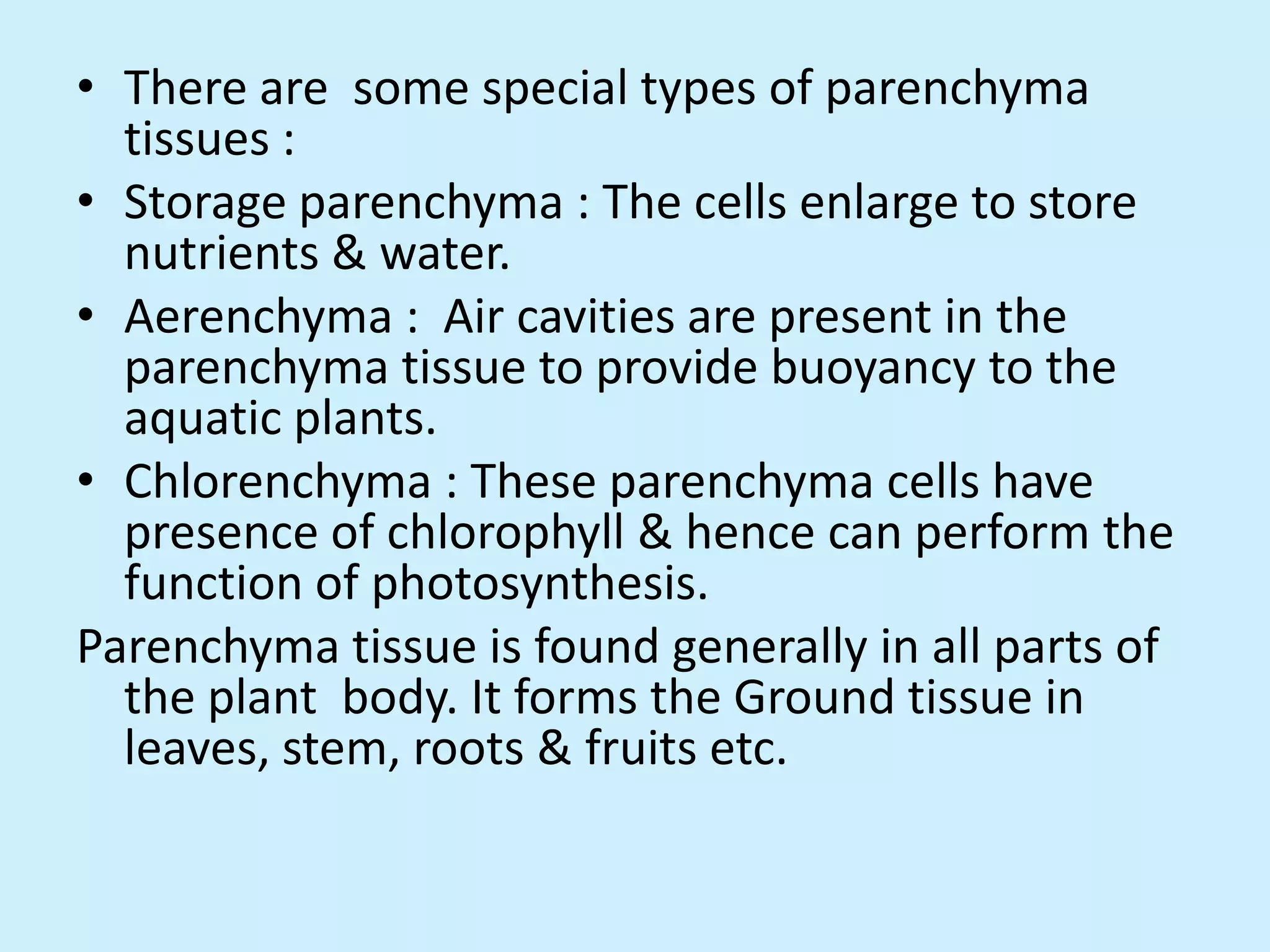 Plant tissues, 9 cbse | PPTX