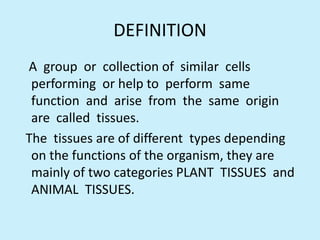 DEFINITION
A group or collection of similar cells
 performing or help to perform same
 function and arise from the same origin
 are called tissues.
The tissues are of different types depending
 on the functions of the organism, they are
 mainly of two categories PLANT TISSUES and
 ANIMAL TISSUES.
 