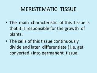 MERISTEMATIC TISSUE

• The main characteristic of this tissue is
  that it is responsible for the growth of
  plants.
• The cells of this tissue continuously
  divide and later differentiate ( i.e. get
  converted ) into permanent tissue.
 
