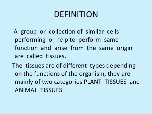 Plant Tissues 9 Cbse