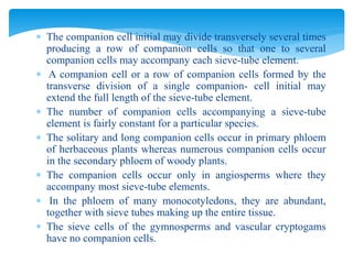 Plant tissues and its types (part II) | PPTX