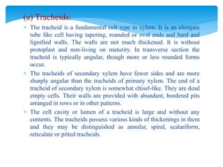 Trachyd Plant Tissues and its Type Part II.pptx