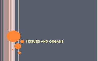 TISSUES AND ORGANS
 