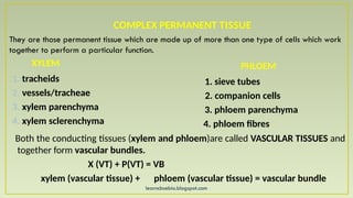 learncbsebio.blogspot.com
COMPLEX PERMANENT TISSUE
XYLEM
1. tracheids
2. vessels/tracheae
3. xylem parenchyma
4. xylem sclerenchyma
PHLOEM
1. sieve tubes
2. companion cells
3. phloem parenchyma
4. phloem fibres
Both the conducting tissues (xylem and phloem)are called VASCULAR TISSUES and
together form vascular bundles.
X (VT) + P(VT) = VB
xylem (vascular tissue) + phloem (vascular tissue) = vascular bundle
They are those permanent tissue which are made up of more than one type of cells which work
together to perform a particular function.
 