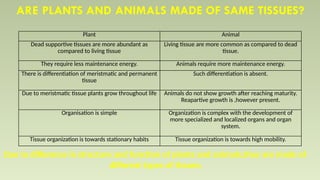 ARE PLANTS AND ANIMALS MADE OF SAME TISSUES?
Due to difference in structure and function of plants and animals,they are made of
different types of tissues.
Plant Animal
Dead supportive tissues are more abundant as
compared to living tissue
Living tissue are more common as compared to dead
tissue.
They require less maintenance energy. Animals require more maintenance energy.
There is differentiation of meristmatic and permanent
tissue
Such differentiation is absent.
Due to meristmatic tissue plants grow throughout life Animals do not show growth after reaching maturity.
Reapartive growth is ,however present.
Organisation is simple Organization is complex with the development of
more specialized and localized organs and organ
system.
Tissue organization is towards stationary habits Tissue organization is towards high mobility.
 