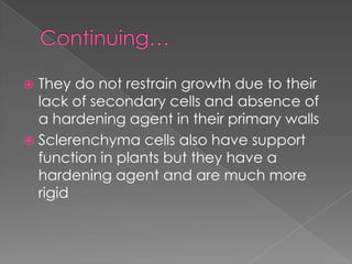  They do not restrain growth due to their
  lack of secondary cells and absence of
  a hardening agent in their primary walls
 Sclerenchyma cells also have support
  function in plants but they have a
  hardening agent and are much more
  rigid
 