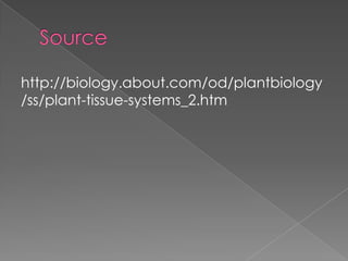 http://biology.about.com/od/plantbiology
/ss/plant-tissue-systems_2.htm
 