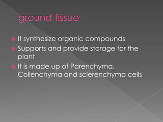  It synthesize organic compounds
 Supports and provide storage for the
  plant
 It is made up of Parenchyma,
  Collenchyma and sclerenchyma cells
 