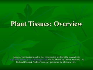Plant Tissues: Overview Many of the figures found in this presentation are from the internet site  http://botit.botany.wisc.edu/images/130/  and a CD entitled “Plant Anatomy” by Richard Crang & Andrey Vassilyev published by McGraw Hill.  