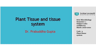 Plant Tissue and tissue
system
Dr. Prabuddha Gupta
B.Sc Microbiology
Semester: 1
Subject code:
02MB0103
Batch: 2020-2021
Unit: 3
Plant tissue
system
 