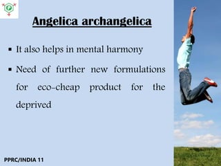 Angelica archangelica
 It also helps in mental harmony
 Need of further new formulations
for eco-cheap product for the
deprived
PPRC/INDIA 11
 