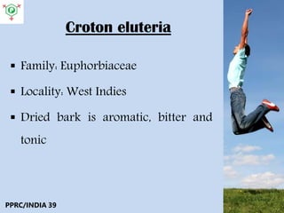 Croton eluteria
 Family: Euphorbiaceae
 Locality: West Indies
 Dried bark is aromatic, bitter and
tonic
PPRC/INDIA 39
 