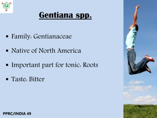 Gentiana spp.
 Family: Gentianaceae
 Native of North America
 Important part for tonic: Roots
 Taste: Bitter
PPRC/INDIA 49
 