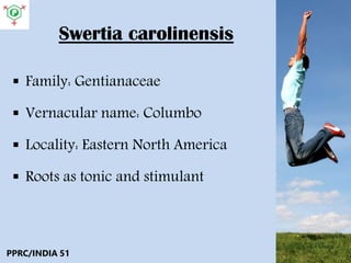Swertia carolinensis
 Family: Gentianaceae
 Vernacular name: Columbo
 Locality: Eastern North America
 Roots as tonic and stimulant
PPRC/INDIA 51
 