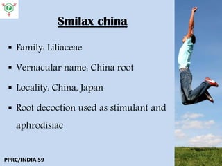 Smilax china
 Family: Liliaceae
 Vernacular name: China root
 Locality: China, Japan
 Root decoction used as stimulant and
aphrodisiac
PPRC/INDIA 59
 