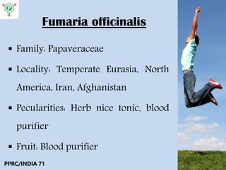 Fumaria officinalis
 Family: Papaveraceae
 Locality: Temperate Eurasia, North
America, Iran, Afghanistan
 Pecularities: Herb nice tonic, blood
purifier
 Fruit: Blood purifier
PPRC/INDIA 71
 
