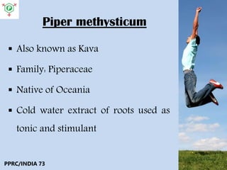 Piper methysticum
 Also known as Kava
 Family: Piperaceae
 Native of Oceania
 Cold water extract of roots used as
tonic and stimulant
PPRC/INDIA 73
 