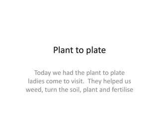 Plant to plate Today we had the plant to plate ladies come to visit.  They helped us weed, turn the soil, plant and fertilise 