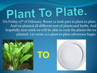 On Friday 17th of February. Room 22 took part in plant to plate,
    And we planted all different sort of plants and herbs. And
 hopefully next week we will be able to cook the plants the we
        planted. Let room 22’s plant to plate adventure begin.




                       TO
 