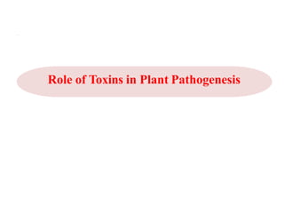 .
Role of Toxins in Plant Pathogenesis
 
