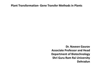 Plant Transformation- Gene Transfer Methods in Plants
Dr. Naveen Gaurav
Associate Professor and Head
Department of Biotechnology
Shri Guru Ram Rai University
Dehradun
 