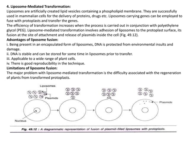 Plant transformation gene transfer methods in plants | PPTX | Genetics ...