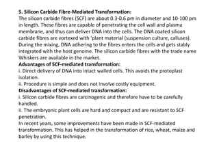 5. Silicon Carbide Fibre-Mediated Transformation:
The silicon carbide fibres (SCF) are about 0.3-0.6 pm in diameter and 10-100 pm
in length. These fibres are capable of penetrating the cell wall and plasma
membrane, and thus can deliver DNA into the cells. The DNA coated silicon
carbide fibres are vortexed with ‘plant material (suspension culture, calluses).
During the mixing, DNA adhering to the fibres enters the cells and gets stably
integrated with the host genome. The silicon carbide fibres with the trade name
Whiskers are available in the market.
Advantages of SCF-mediated transformation:
i. Direct delivery of DNA into intact walled cells. This avoids the protoplast
isolation.
ii. Procedure is simple and does not involve costly equipment.
Disadvantages of SCF-mediated transformation:
i. Silicon carbide fibres are carcinogenic and therefore have to be carefully
handled.
ii. The embryonic plant cells are hard and compact and are resistant to SCF
penetration.
In recent years, some improvements have been made in SCF-mediated
transformation. This has helped in the transformation of rice, wheat, maize and
barley by using this technique.
 