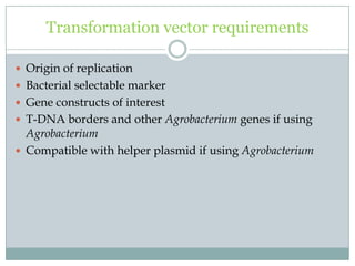 Transformation vector requirements
 Origin of replication
 Bacterial selectable marker
 Gene constructs of interest
 T-DNA borders and other Agrobacterium genes if using
Agrobacterium
 Compatible with helper plasmid if using Agrobacterium
 