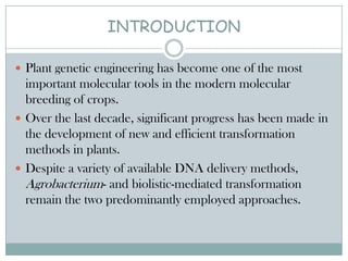 INTRODUCTION
 Plant genetic engineering has become one of the most
important molecular tools in the modern molecular
breeding of crops.
 Over the last decade, significant progress has been made in
the development of new and efficient transformation
methods in plants.
 Despite a variety of available DNA delivery methods,
Agrobacterium- and biolistic-mediated transformation
remain the two predominantly employed approaches.
 