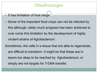 Disadvantages
 It has limitation of host range,
 Some of the important food crops can not be infected by
this although, lately much progress has been achieved to
over come this limitation by the development of highly
virulent strains of Agrobacterium.
Sometimes, the cells in a tissue that are able to regenarate,
are difficult to transform. it might be that these are in
layers too deep to be reached by Agrobacterium, or
simply are not targets for T-DNA transfer.
 